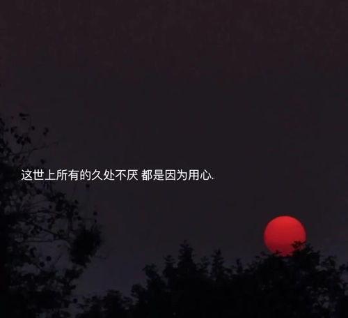 傍晚吃瓜的文案,尽享夏日清凉时光