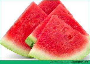 努力长胖胖吃瓜,揭秘增肥背后的快乐生活